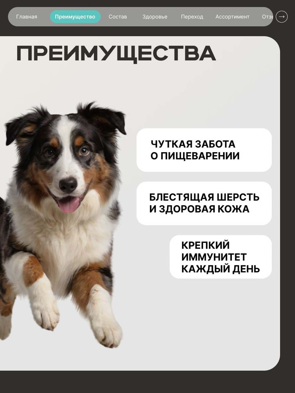Корм сухой для средних и крупных собак, чувствительное пищеварение, с кроликом, 3 кг, QUATTRO