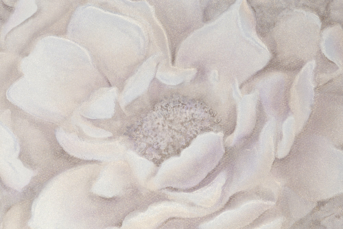 Обои 72255-65 Valencia Palitra Life