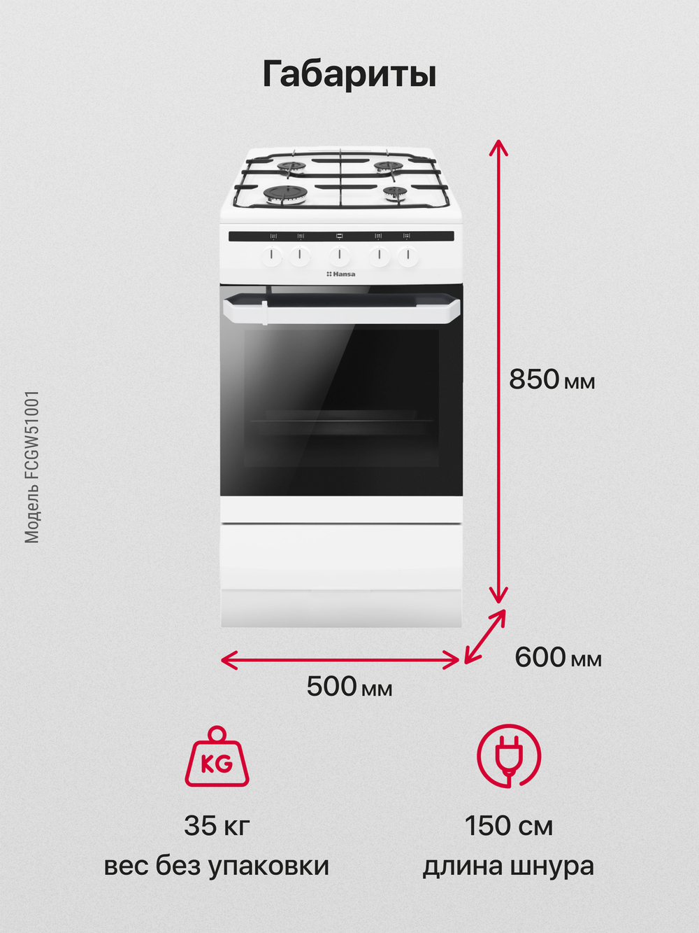 Газовая плита Hansa FCGW51001