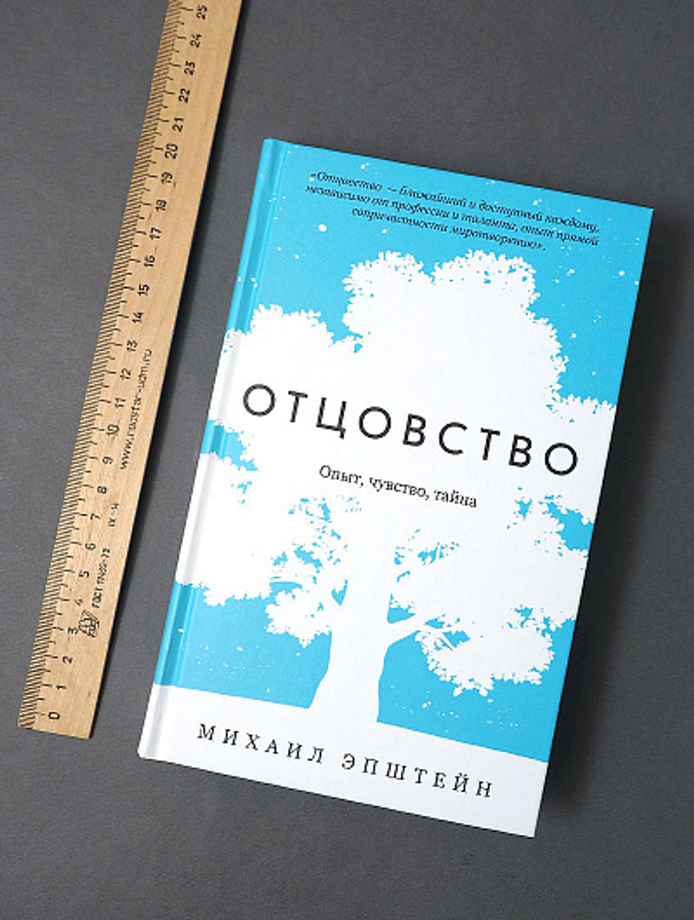 Отцовство. Опыт, чувство, тайна