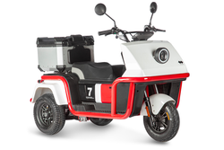 Электротрицикл Wanshida DOUHAO (800Вт, 60B)