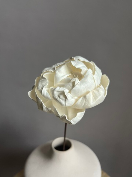 Декоративный цветок Пион