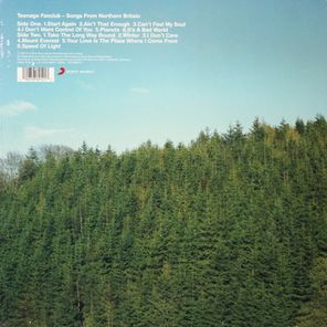 Teenage Fanclub / Songs From Northern Britain (LP)