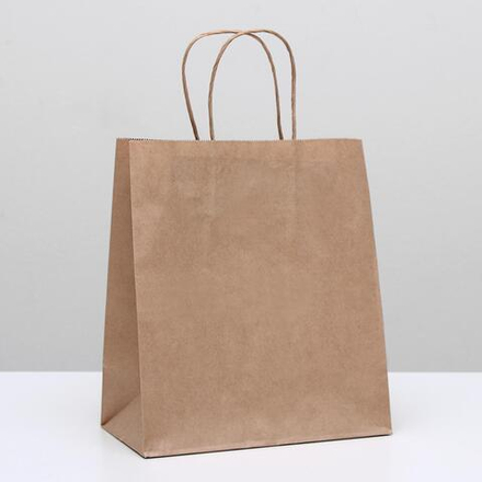 Пакет крафт без печати, круглая ручка 22×12×28 см, 1263050