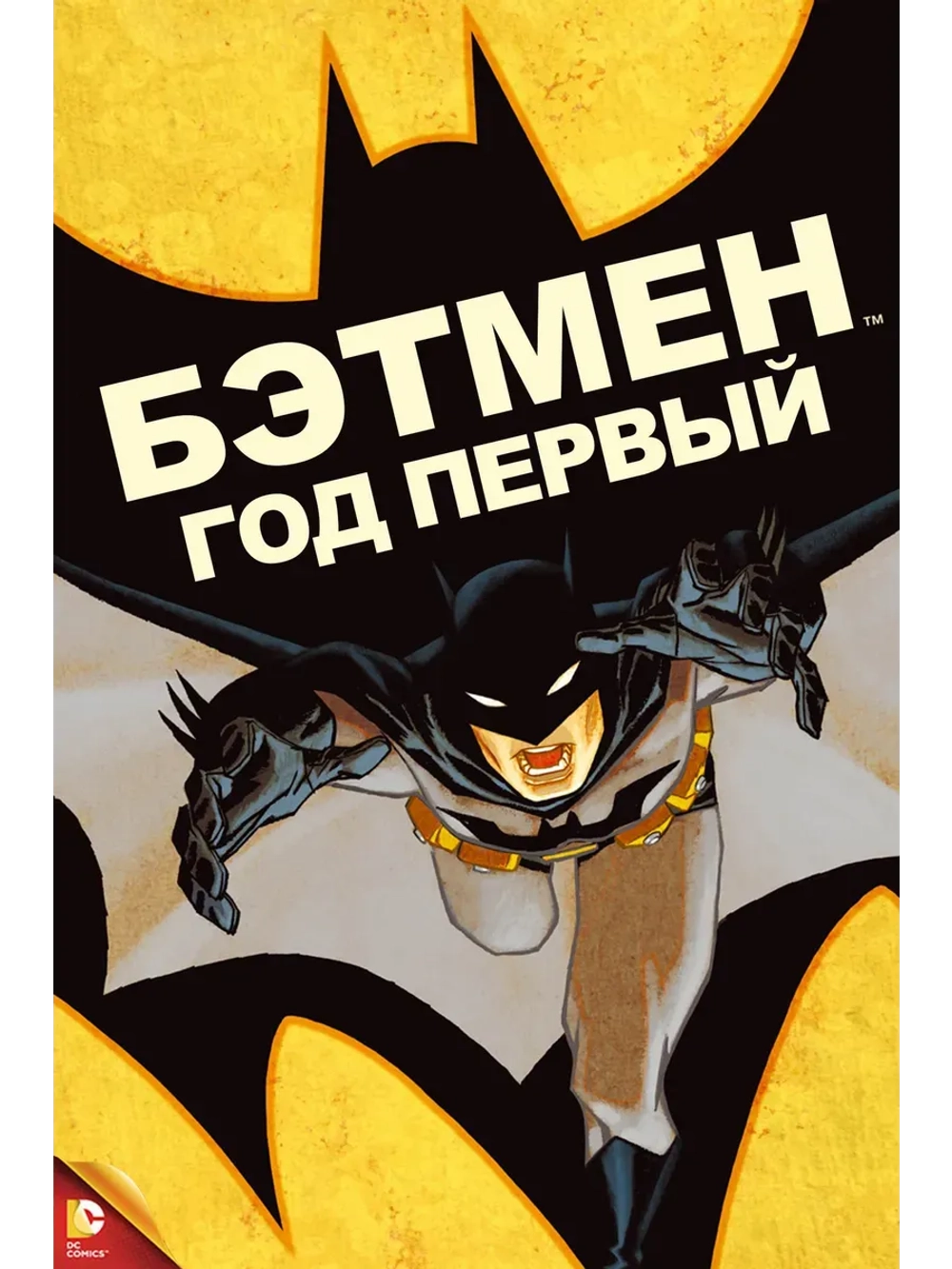 Бэтмен: Год первый (2011) (КИНО USB)