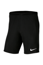 Шорты Nike Dry Park III