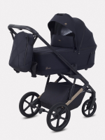 Коляска 2 в 1 Rant Garda