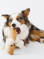 Petstages игрушка для собак Dogwood палочка деревянная 22 см большая