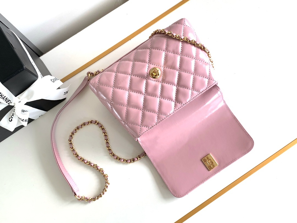 Chanel Bag 19 cm