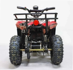 Электроквадроцикл Green Camel Гоби K45 (36V 800W R6 Цепь) быстросъем, ножной тормоз