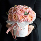 Коробочка эксклюзивной Джульетты