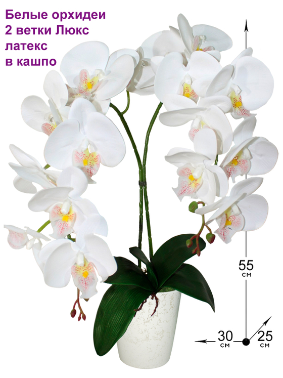 Орхидеи Люкс 2 ветки белые латекс 55см в кашпо