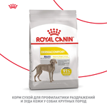Royal Canin Maxi Dermacomfort Макси Дермакомфорт Корм сухой для взрослых собак крупных размеров при раздражениях и зуде кожи 10кг
