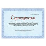 Сертификат-бумага для лазерной печати BRAUBERG, А4, 25 листов, 115 г/м2, "Голубая сеточка", 122618