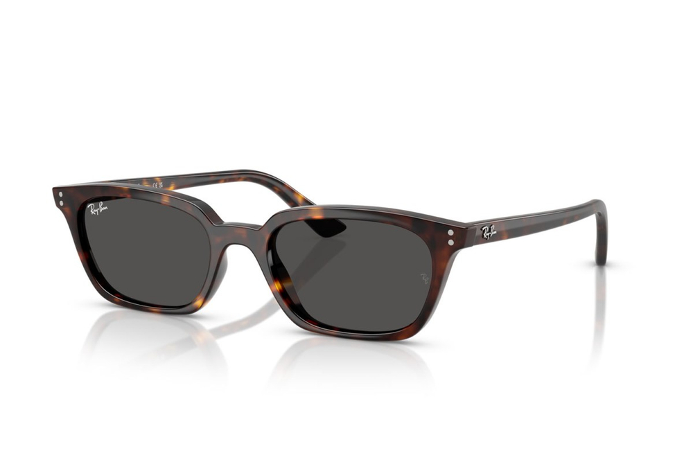 Ray Ban 4456 135987
