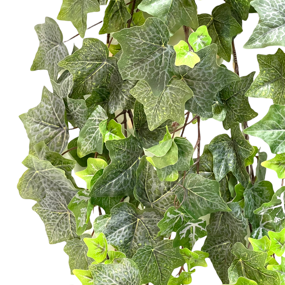 Плющ английский гирлянда 180 см