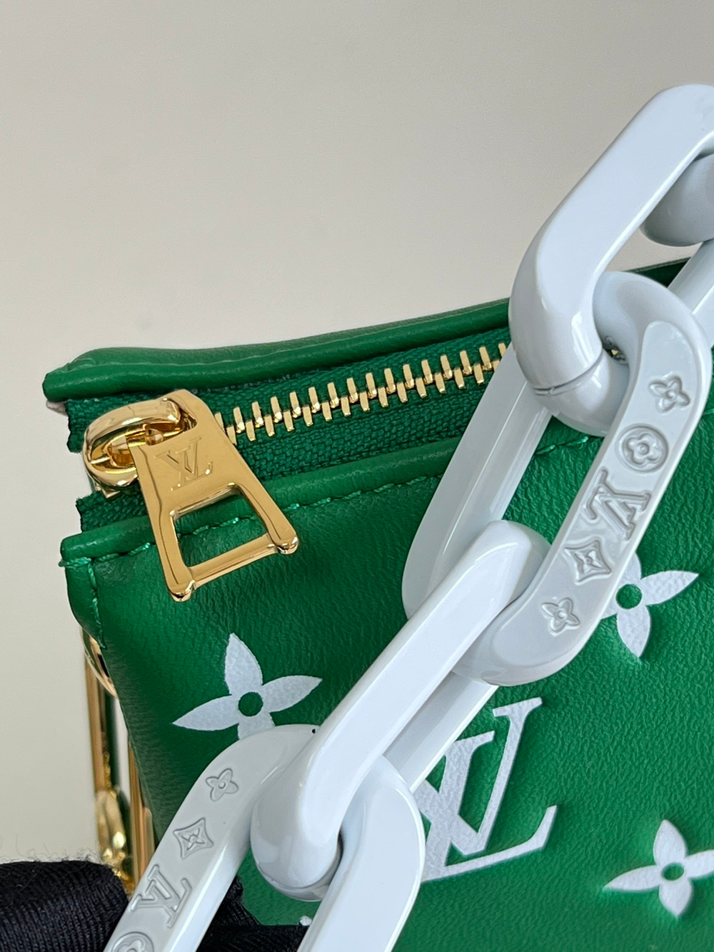 Louis Vuitton Coussin PM
