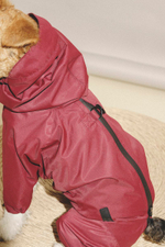 Комбинезон "Пони-комбинезони" винный