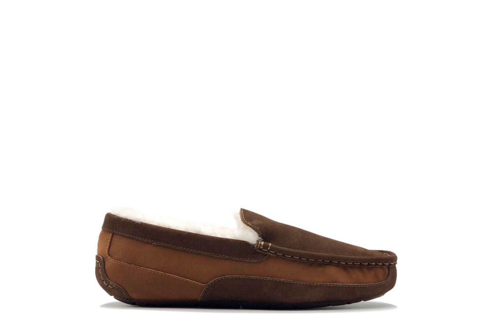 UGG Mens Ascot Gognac