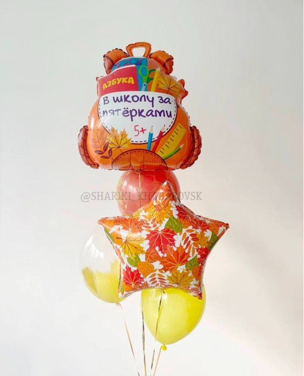Воздушные шары на 1 сентября «В школу за пятёрками!» №1/33