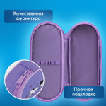 Пенал-футляр BRAUBERG 1 отделение органайзер полиэстер 22x9х5 см "Meow" (2 штуки в упаковке)