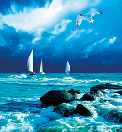 Коллекция Морской пейзаж