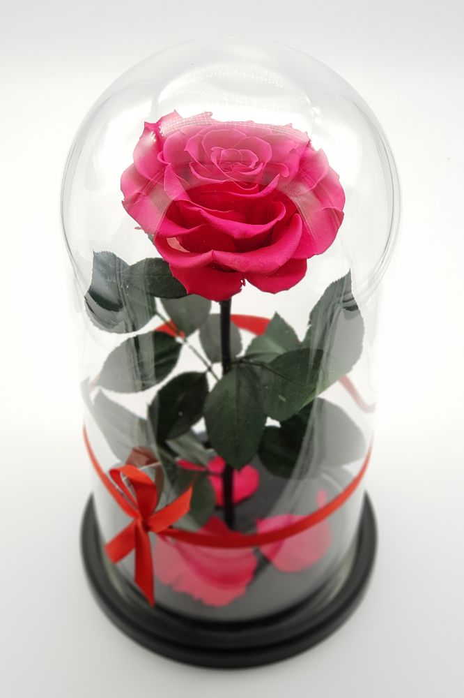 Роза в колбе King Size 30см розовая (фуксия)