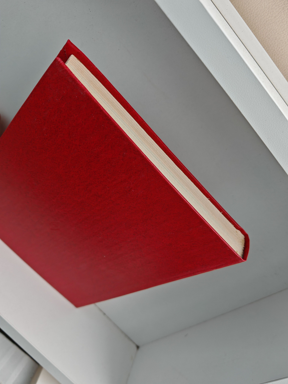 История Древнего Рима: Учебник