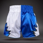 Шорты Venum Inferno 2.0 Muay Thai white/blue