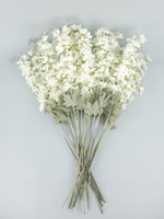 Дельфиниум Эстер уценка (цена за 18 веток)