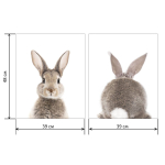 Картина холст, 48х39 см, H-1602H