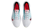 Кроссовки Nike Zoom Winflo 7