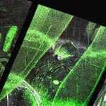 Футболка Cyberpunk Черная