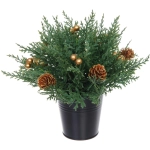 Хвойная композиция «Зимняя хвоя» 22*22*15 см