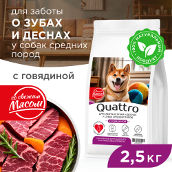 Корм сухой для взрослых собак средних пород, премиум полнорационный комплекс, забота о зубах и деснах, с говядиной, 2,5 кг, QUATTRO