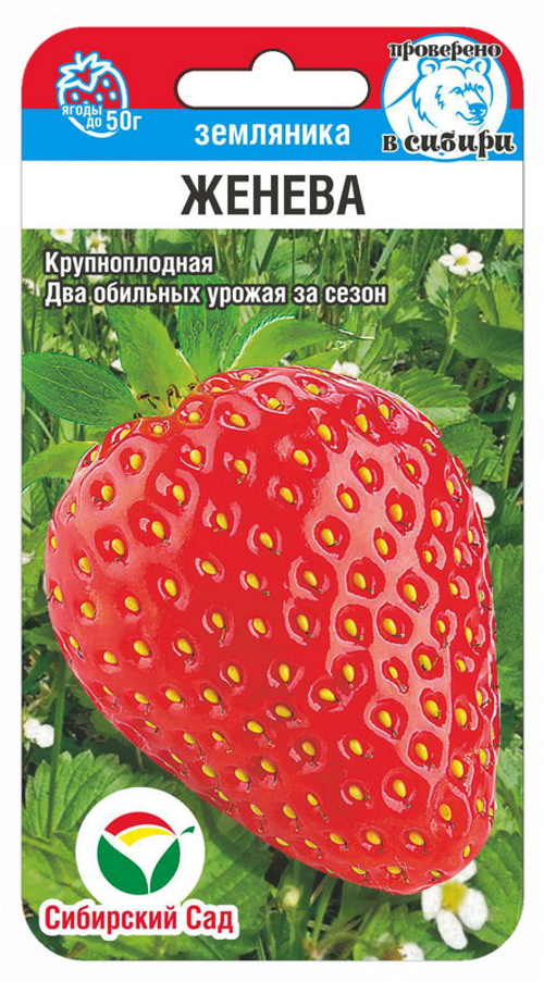 Земляника крупноплодная Женева (семена)