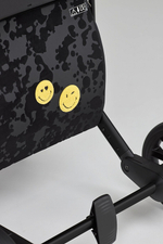 Детская коляска Anex e/type 2 в 1 art