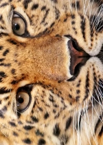 Товар с НЕ 0 стоимостью