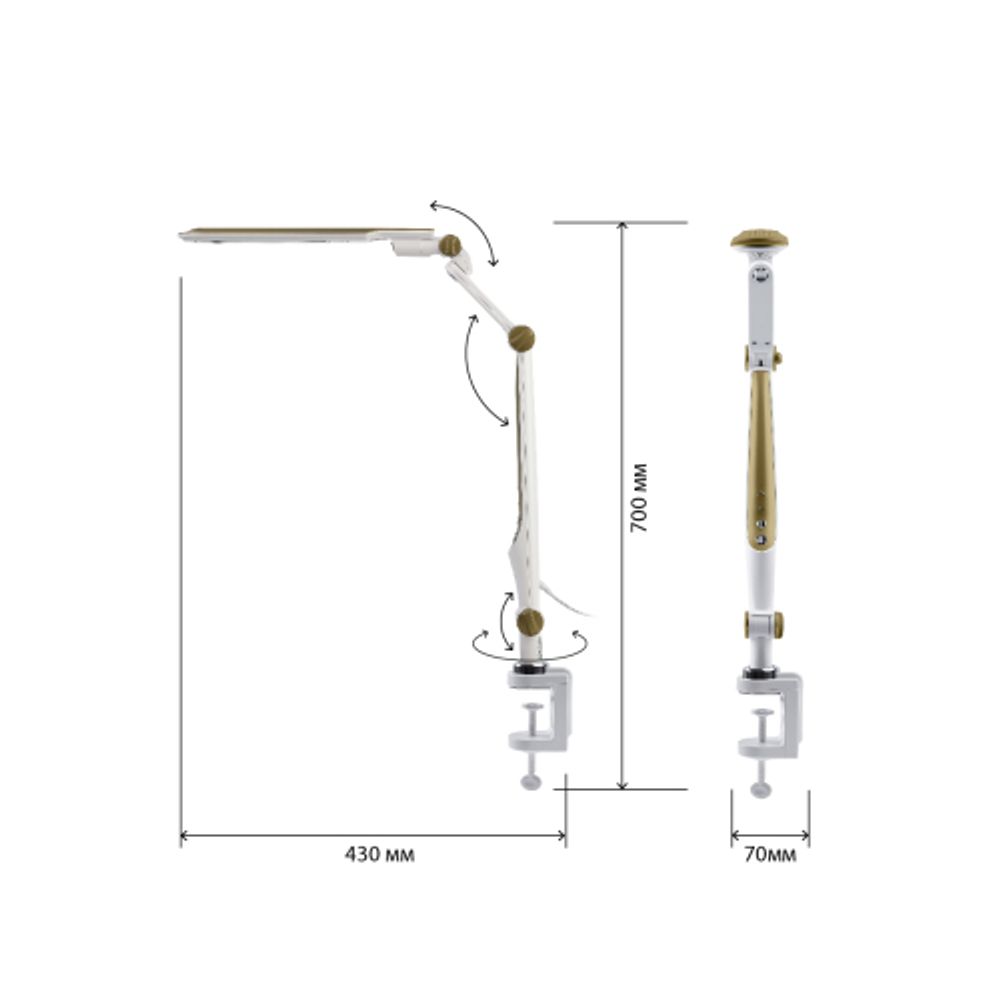 Настольный светильник ЭРА NLED-496-12W-G светодиодный на струбцине золото