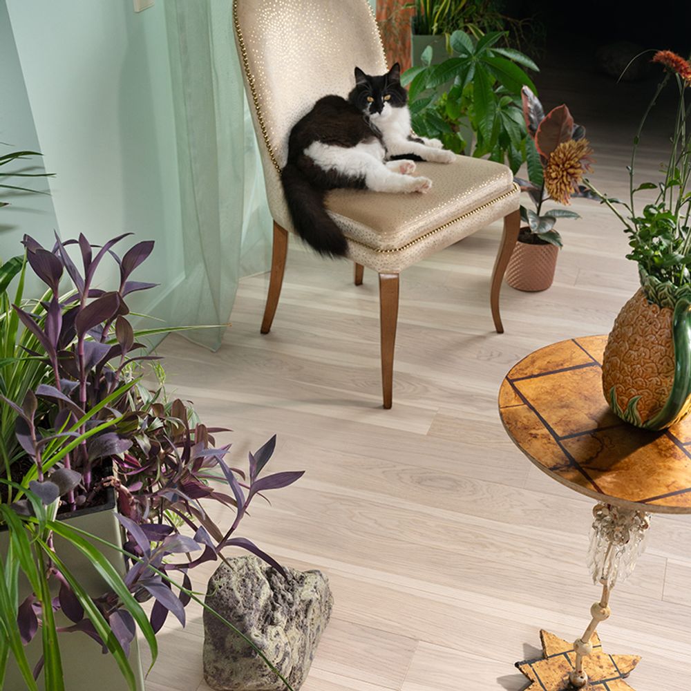 Инженерный паркет Coswick Дуб Белоснежный (Snow White) Шелковое масло ультраматовое