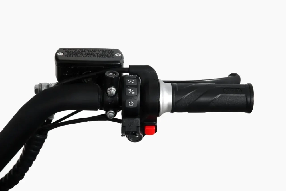 Электроскутер SKYBOARD BR100-5000 (Amur)