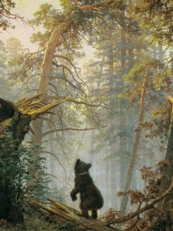 Картины-наклейки на стену для декора интерьерные №500