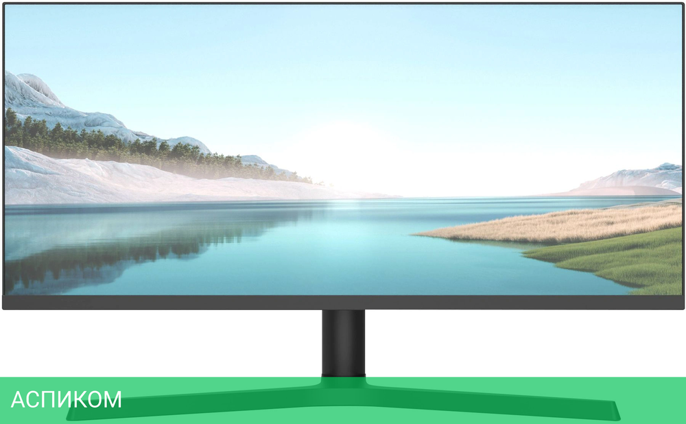 Монитор NPC 29" MZ300L