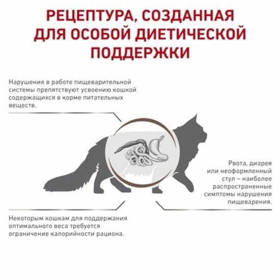Royal Canin GastroIntestinal Moderate Calorie GIM 35 Feline диета для кошек при панкреатите и нарушениях пищеварения Royal Canin GastroIntestinal Moderate Calorie GIM 35 Feline диета для кошек при панкреатите и нарушениях пищеварения
