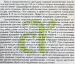 Лихнис Зорька 0,1 г СМЦ-679