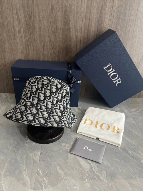 Панама Christian Dior