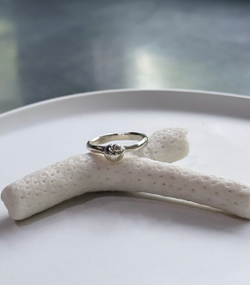 кольцо с малышкой ракушкой