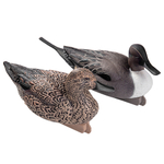 Утиные чучела Softplast ALFA "Шилохвость"