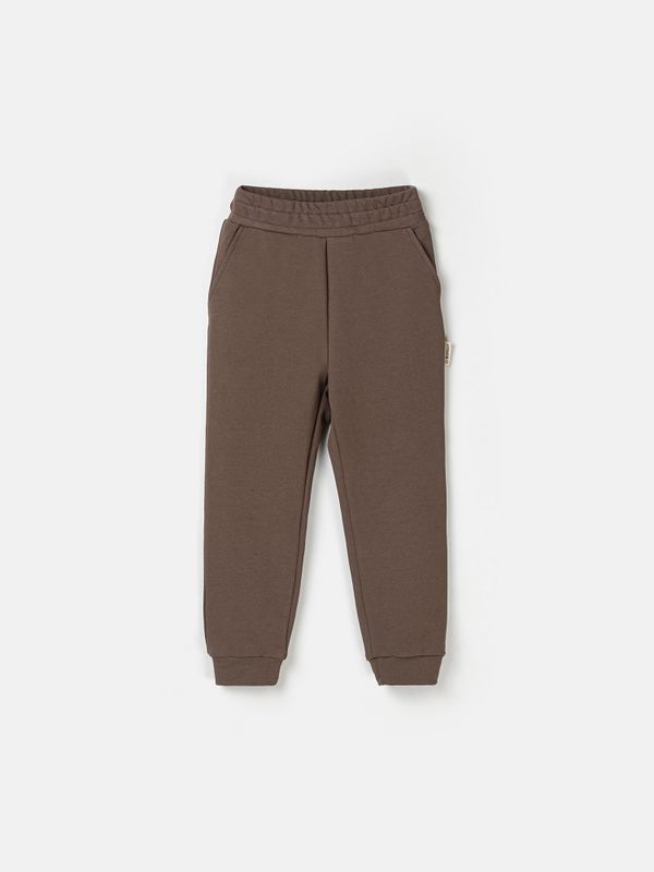 Джоггеры облегченные 