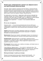 Руны, масла, ароматы (электронная). Кудесник Добрыня